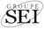 DMS logo Groupe SEI